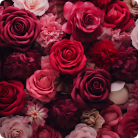Rose Wallpaper Offline