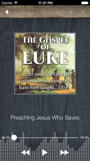 Soli Deo Gloria Screenshot 3