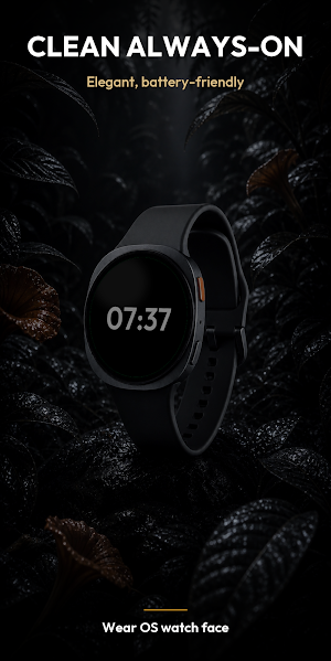 Colibri – watch face Screenshot 2