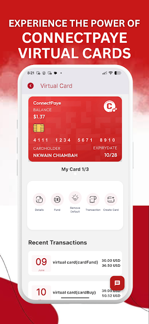 ConnectPaye Screenshot 1