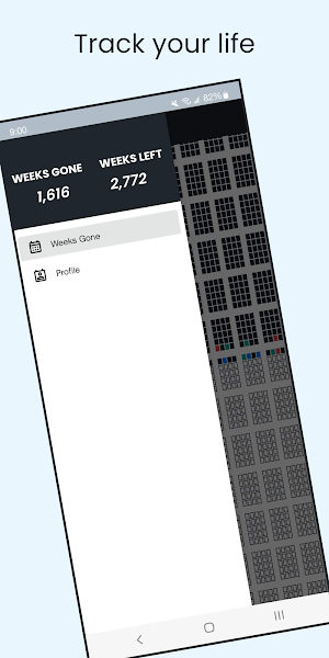 Weeks Gone Screenshot 3