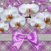 White Orchids theme