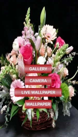 Pastel Floral Wallpaper Screenshot 0