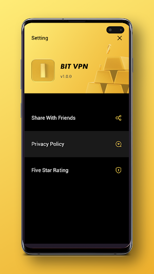 Bit VPN Screenshot 2
