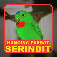 Suara Serindit: Hanging Parrot