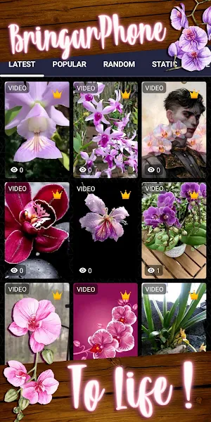 orchid wallpaper Screenshot 1