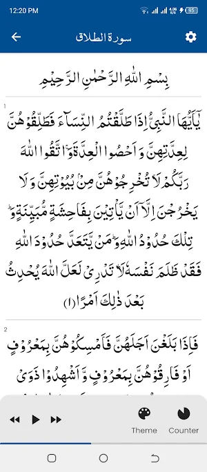Surah Talaq (سورة الطلاق) Screenshot 0