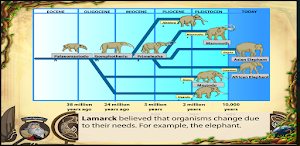 Theories of Evolution Screenshot 0