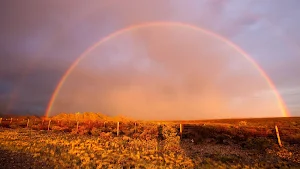 Rainbow Wallpapers Screenshot 1