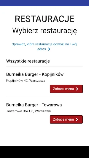 Burneika Burger Screenshot 1
