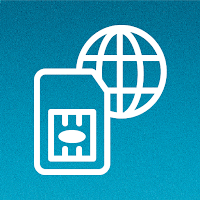 International SIM