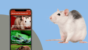 Mouse and Rat sounds Screenshot 0