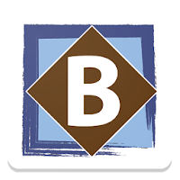 Bruneau & Co Auctioneers