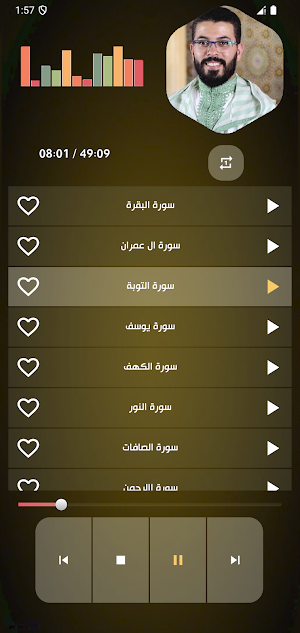 قران بصوت هشام الهراز بدون نت Screenshot 2