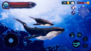 The Humpback Whales Screenshot 0