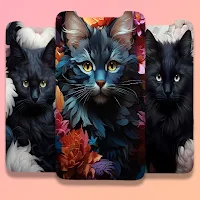 Black Cat Wallpaper