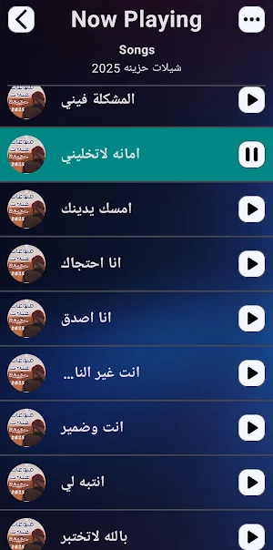 شيلات حزينه | 2025 بدون نت Screenshot 3