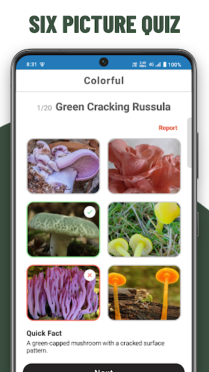 Mushrooms Quiz - Guess species Screenshot 2