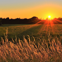 Rural Aesthetic Wallpaper