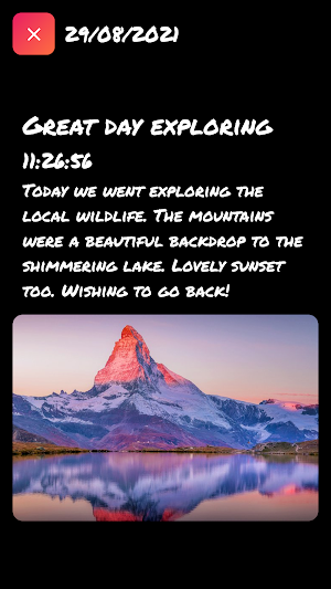 Journal Screenshot 2