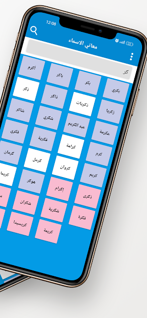 معاني الاسماء بدون نت Screenshot 1