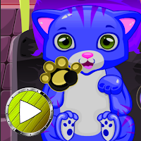 Cat Rescue Hospital