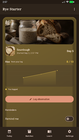 Brinepost: Sourdough & Ferment Screenshot 1