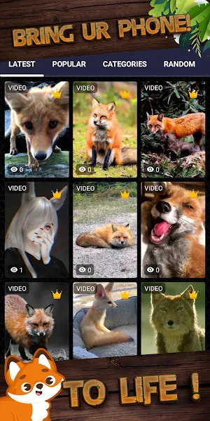fox background Screenshot 1