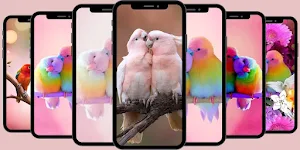 Cute Animal Wallpaper Screenshot 1