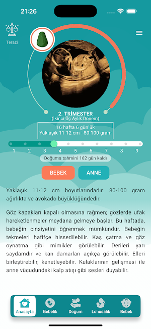 Annelik Yolculuğu Screenshot 1
