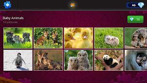 Jigsaw puzzles offline Screenshot 3