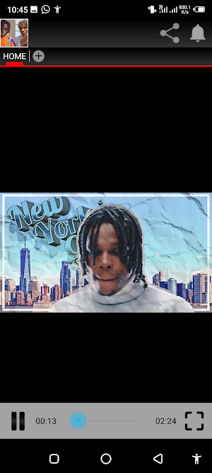 Fireboy DML&Joeboy all songs Screenshot 2