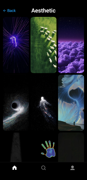 Gallerie Wallpapers Screenshot 2