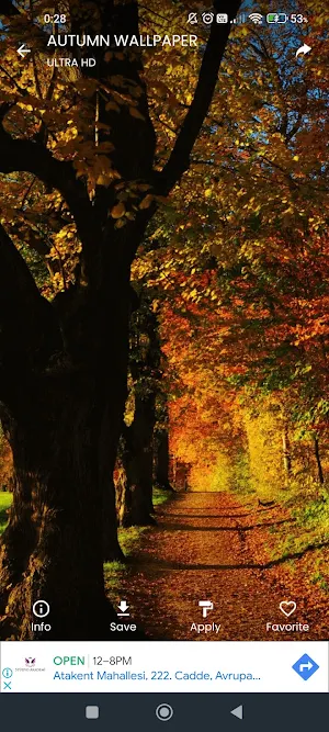 Autumn Wallpaper 4K Screenshot 3