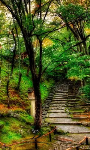 Nature Animated Wallpapers Screenshot 1