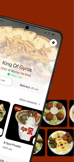 King Of Gyros Screenshot 1