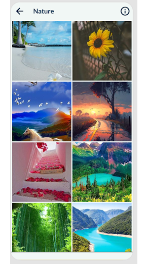 Nature Wallpaper HD Screenshot 1
