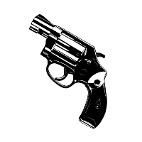 Guns info