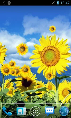 Sunflower Live Wallpaper Screenshot 0