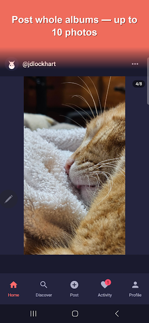 Show Me Your Kitties Screenshot 1