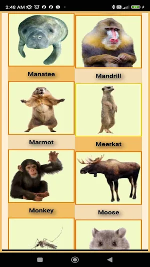 Animal Soundboard Learn & Play Screenshot 3