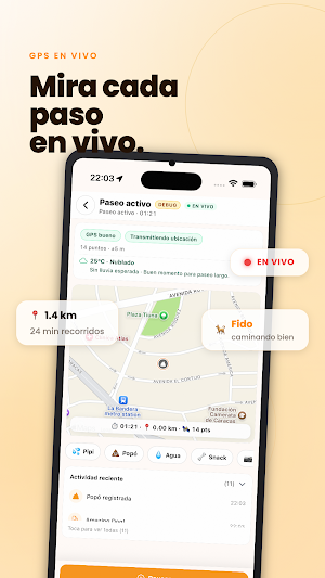 Peyito Screenshot 3