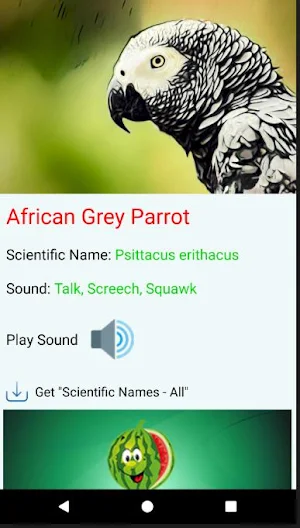 Animal & Bird Sounds Screenshot 2