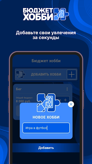 Бюджет Хобби Screenshot 2