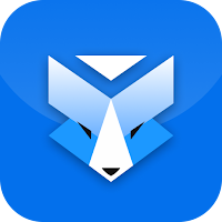 Cyber Fox
