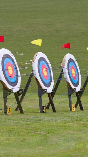 Archery Wallpaper Screenshot 3