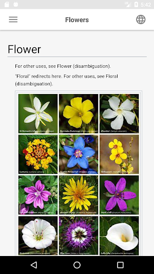Flowers Screenshot 3
