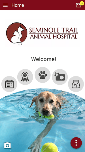 STAH Vet Screenshot 0