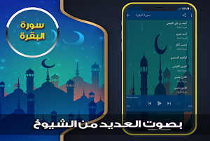 سورة البقرة بدون نت عبد الباسط Screenshot 2