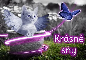 Dobrý večer Dobrou noc Screenshot 2